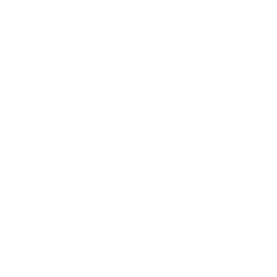 Vizzy logo