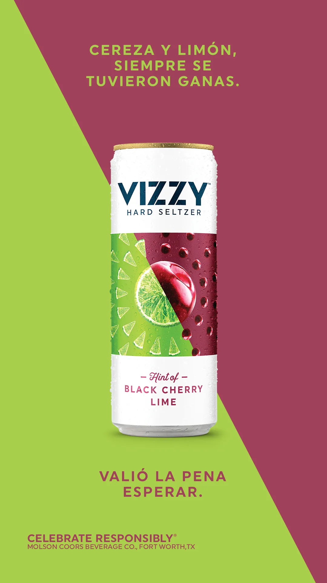 VIZZY HARD SELTZER. INTRODUCCIÓN LATAM campaign asset 2