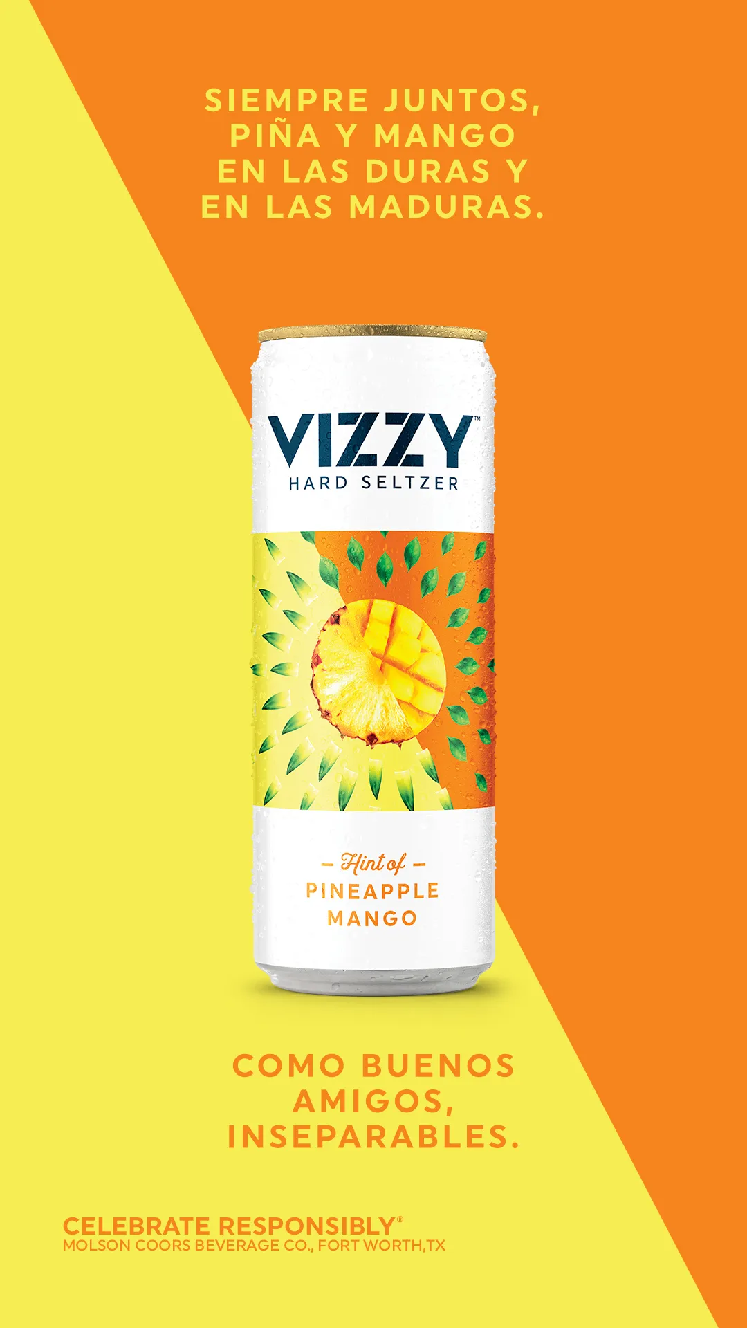 VIZZY HARD SELTZER. INTRODUCCIÓN LATAM campaign asset 3