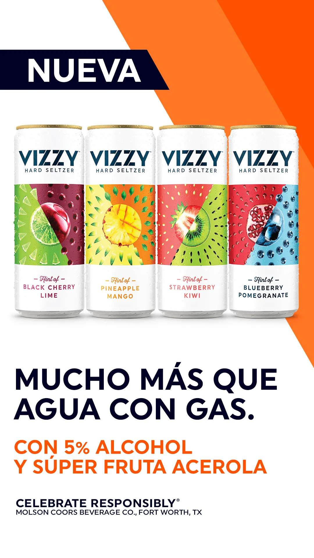 VIZZY HARD SELTZER. INTRODUCCIÓN LATAM campaign asset 7